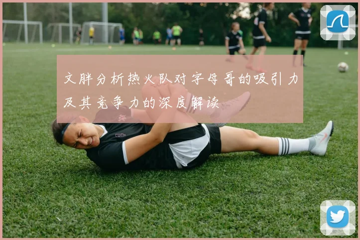 文胖分析热火队对字母哥的吸引力及其竞争力的深度解读